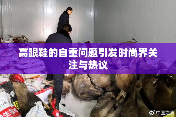 高跟鞋的自重问题引发时尚界关注与热议