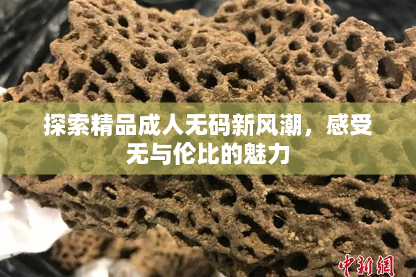 探索精品成人无码新风潮，感受无与伦比的魅力
