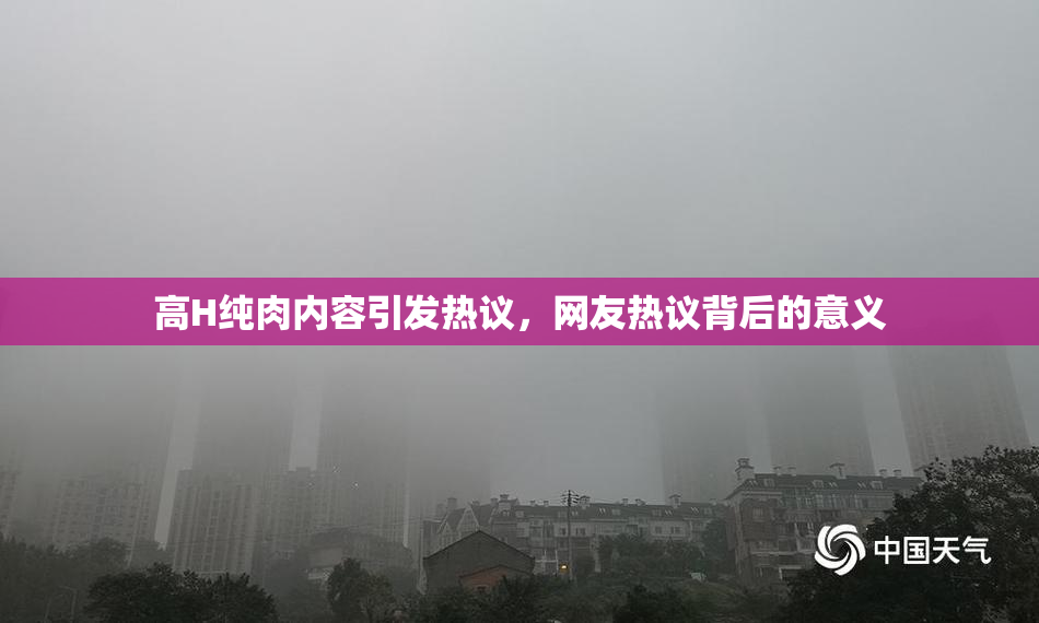 高H纯肉内容引发热议，网友热议背后的意义