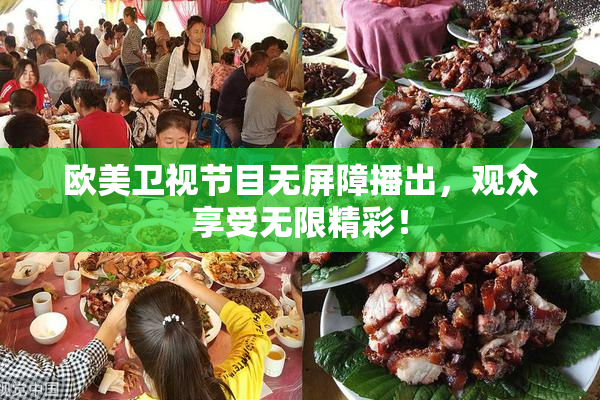 欧美卫视节目无屏障播出，观众享受无限精彩！