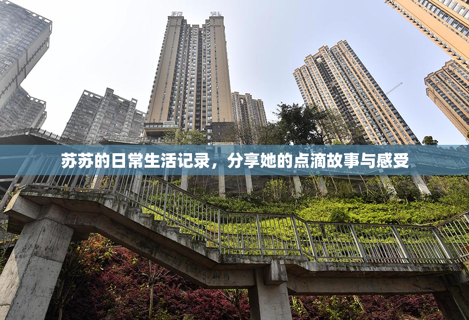 苏苏的日常生活记录，分享她的点滴故事与感受