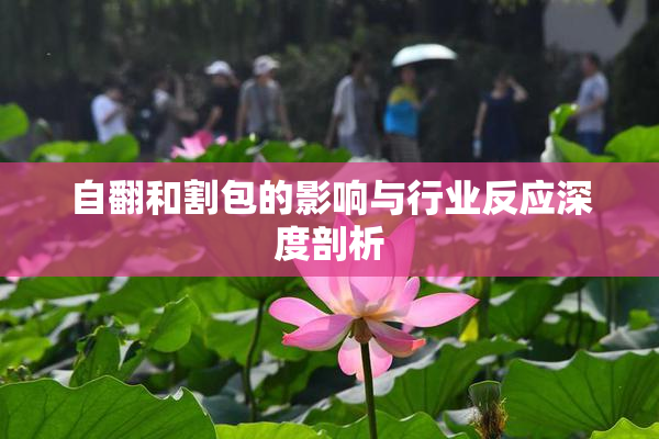 自翻和割包的影响与行业反应深度剖析