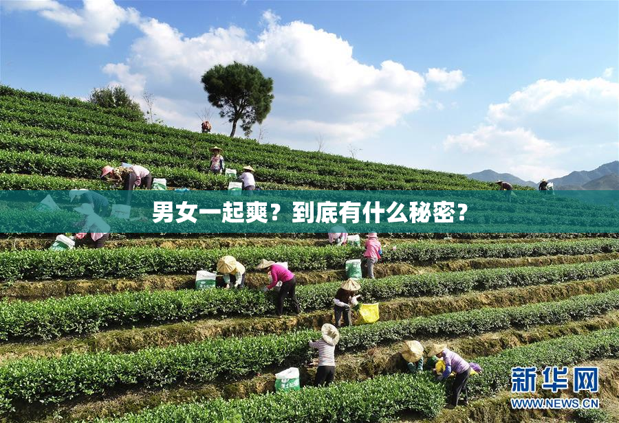 男女一起爽？到底有什么秘密？