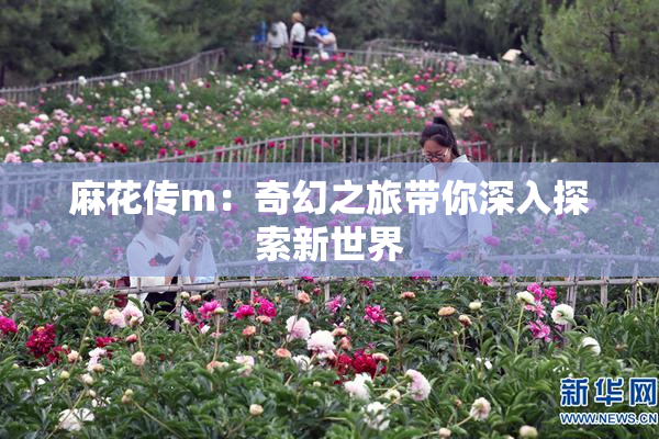 麻花传m：奇幻之旅带你深入探索新世界