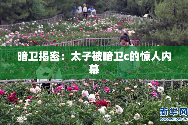 暗卫揭密：太子被暗卫c的惊人内幕
