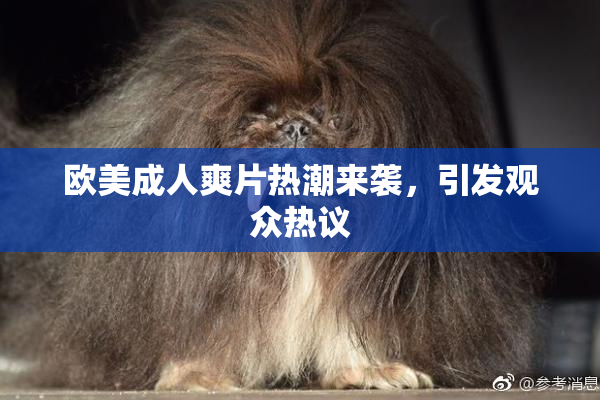 欧美成人爽片热潮来袭，引发观众热议