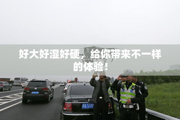 好大好湿好硬，给你带来不一样的体验！