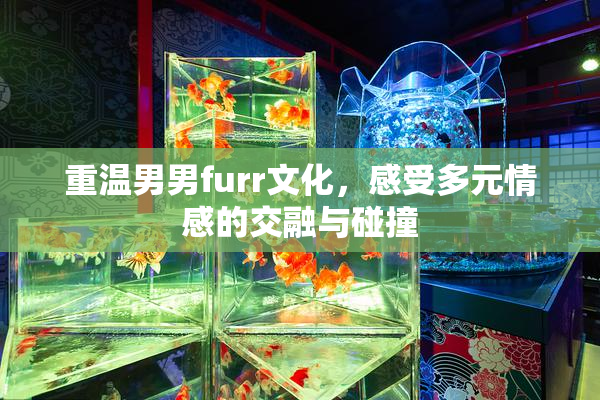 重温男男furr文化，感受多元情感的交融与碰撞