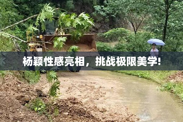 杨颖性感亮相，挑战极限美学!