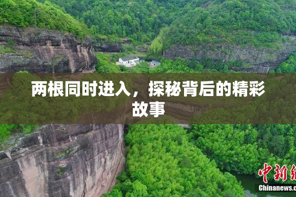 两根同时进入，探秘背后的精彩故事