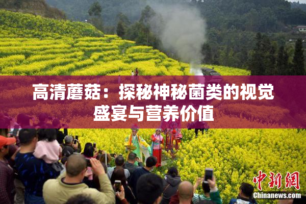 高清蘑菇：探秘神秘菌类的视觉盛宴与营养价值