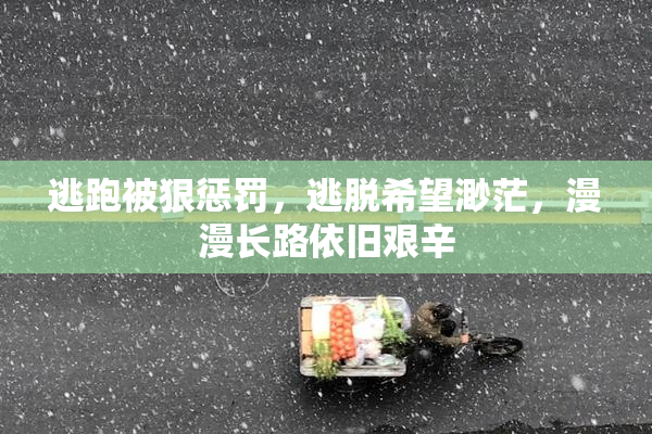 逃跑被狠惩罚，逃脱希望渺茫，漫漫长路依旧艰辛