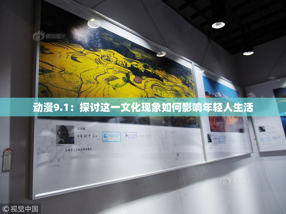 动漫9.1：探讨这一文化现象如何影响年轻人生活