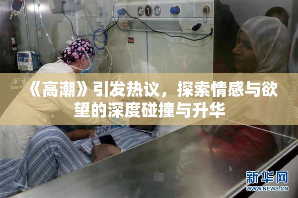 《高潮》引发热议，探索情感与欲望的深度碰撞与升华