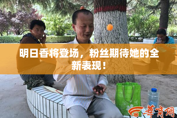 明日香将登场，粉丝期待她的全新表现！