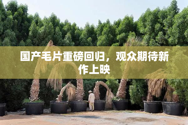国产毛片重磅回归，观众期待新作上映
