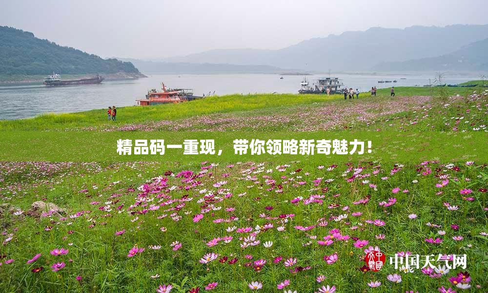 精品码一重现，带你领略新奇魅力！