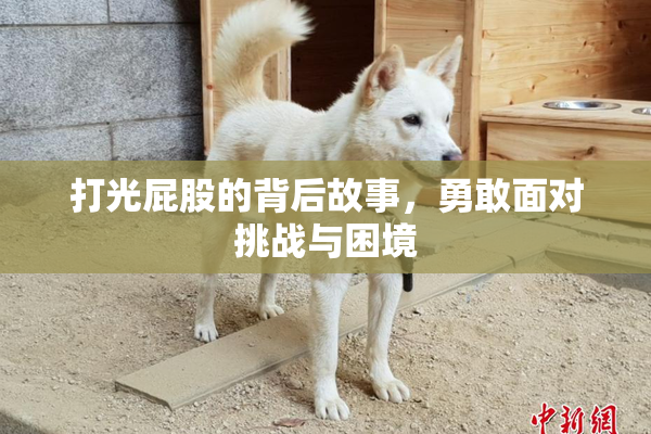 打光屁股的背后故事，勇敢面对挑战与困境