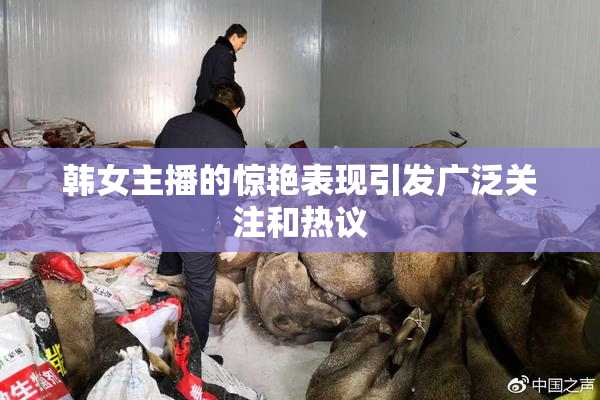 韩女主播的惊艳表现引发广泛关注和热议