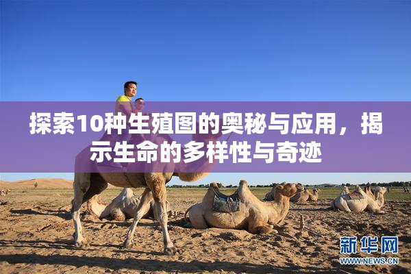 探索10种生殖图的奥秘与应用，揭示生命的多样性与奇迹