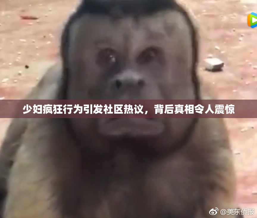 少妇疯狂行为引发社区热议，背后真相令人震惊