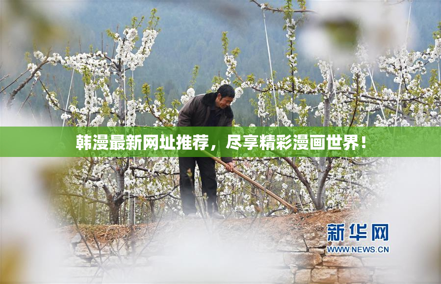 韩漫最新网址推荐，尽享精彩漫画世界！