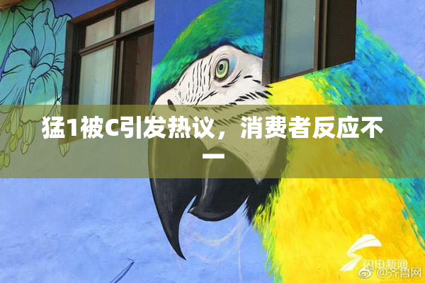 猛1被C引发热议，消费者反应不一