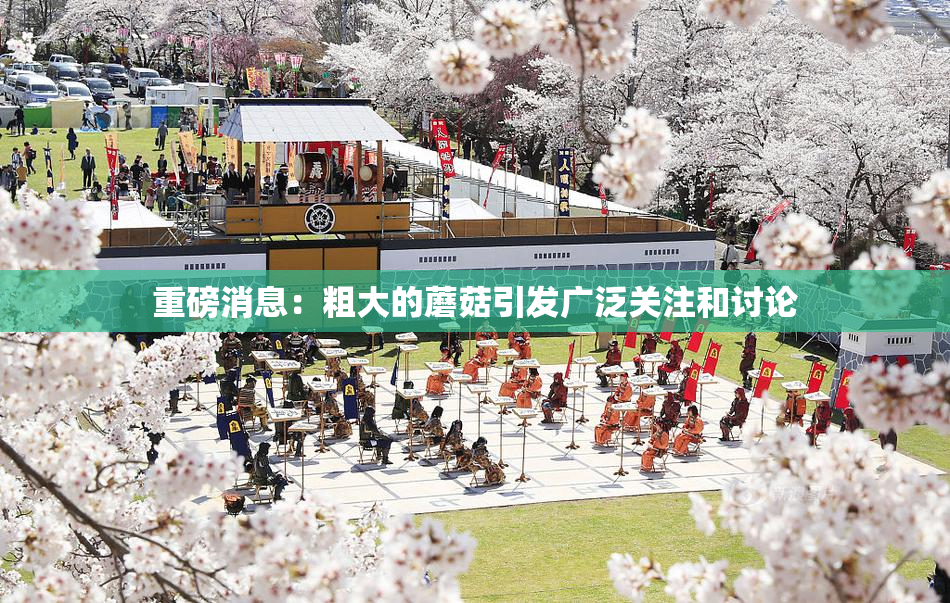 重磅消息：粗大的蘑菇引发广泛关注和讨论