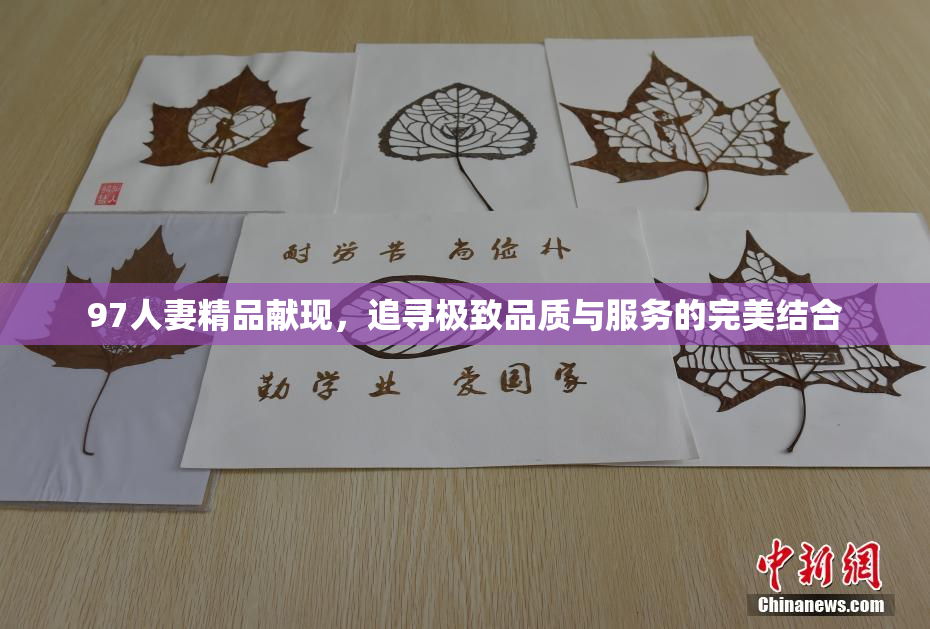 97人妻精品献现，追寻极致品质与服务的完美结合