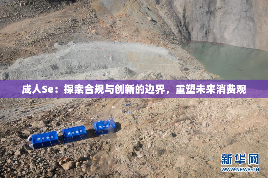成人Se：探索合规与创新的边界，重塑未来消费观