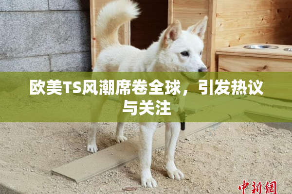 欧美TS风潮席卷全球，引发热议与关注