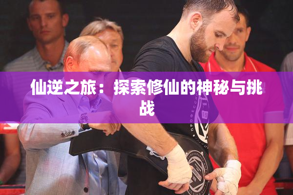 仙逆之旅：探索修仙的神秘与挑战