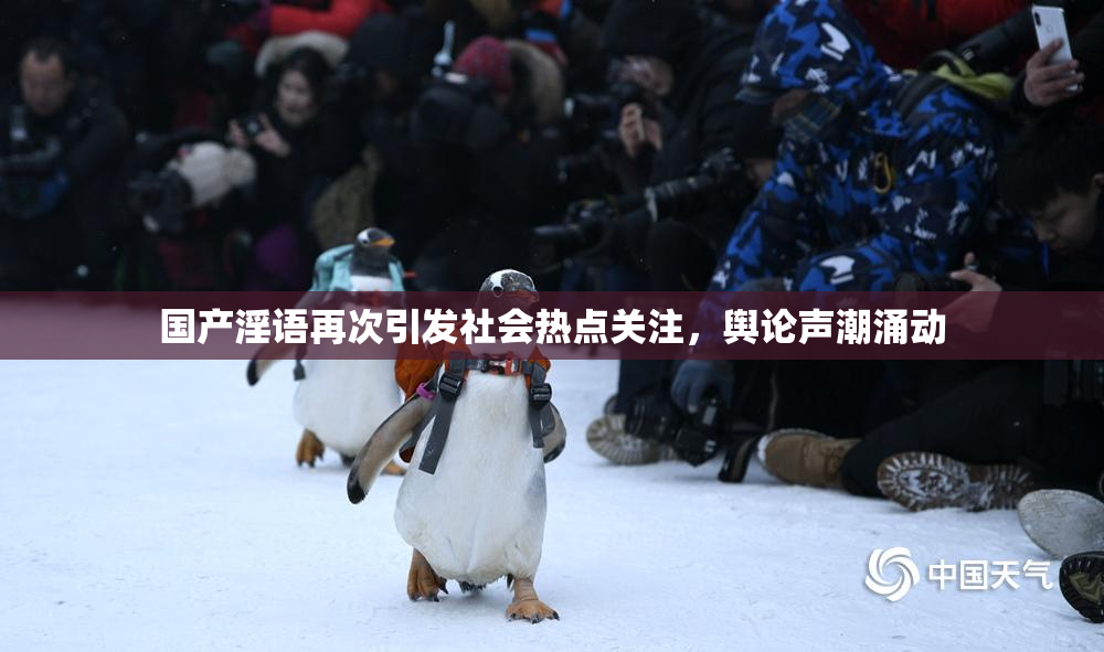 国产淫语再次引发社会热点关注，舆论声潮涌动