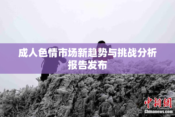 成人色情市场新趋势与挑战分析报告发布