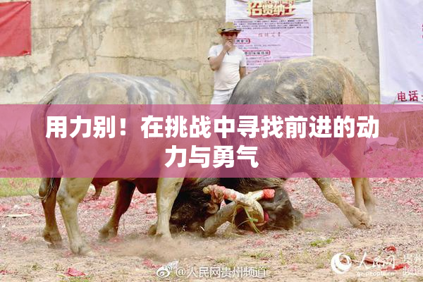用力别！在挑战中寻找前进的动力与勇气