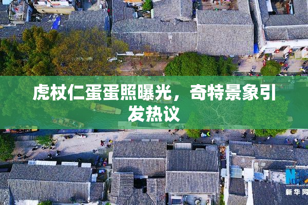 虎杖仁蛋蛋照曝光，奇特景象引发热议