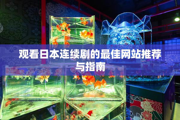 观看日本连续剧的最佳网站推荐与指南