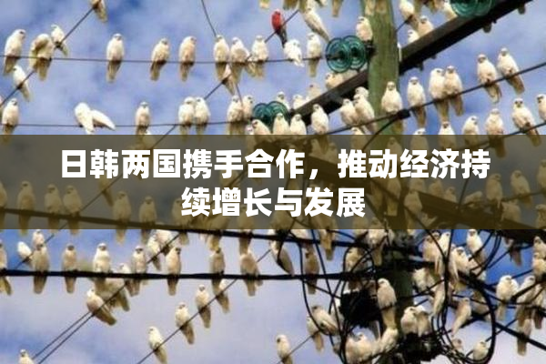 日韩两国携手合作，推动经济持续增长与发展