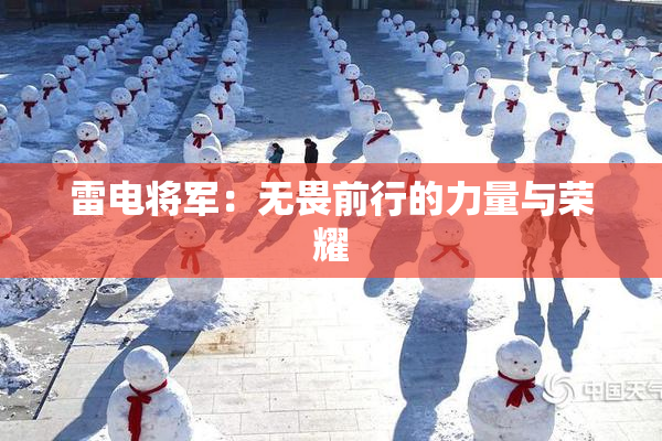 雷电将军：无畏前行的力量与荣耀