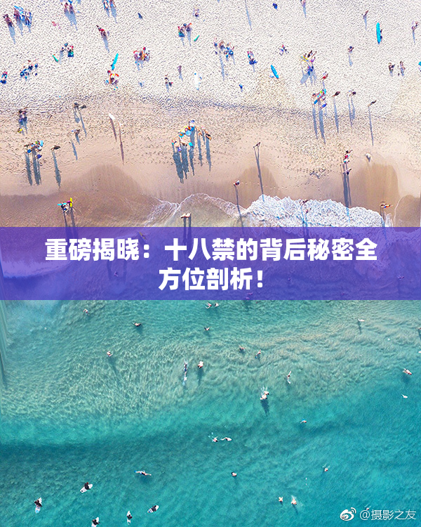重磅揭晓：十八禁的背后秘密全方位剖析！