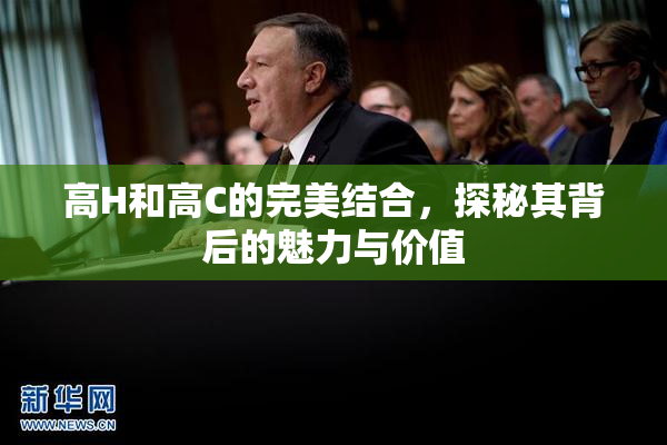 高H和高C的完美结合，探秘其背后的魅力与价值