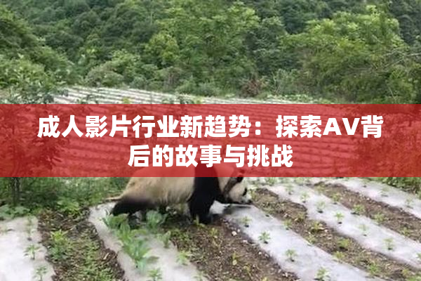 成人影片行业新趋势：探索AV背后的故事与挑战