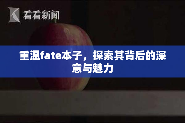 重温fate本子，探索其背后的深意与魅力