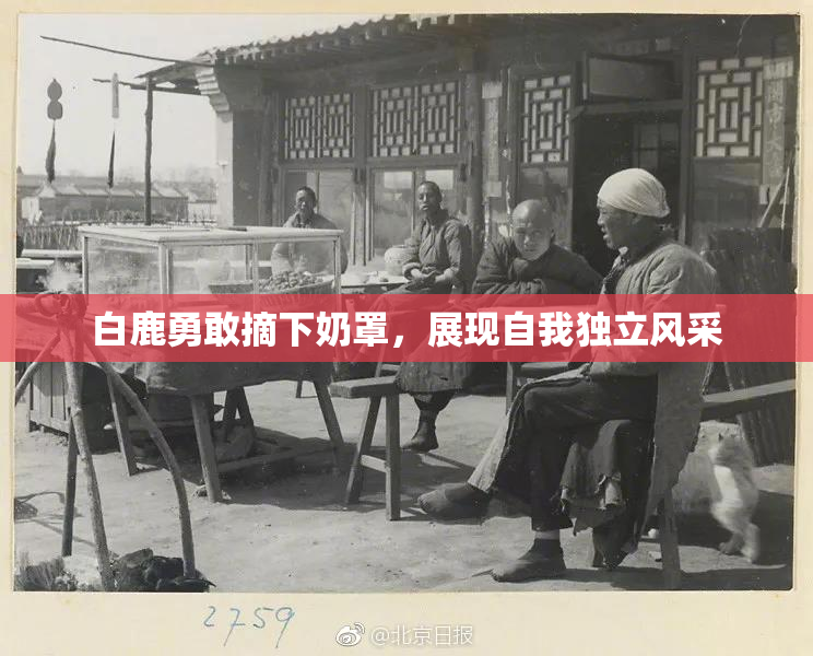 白鹿勇敢摘下奶罩，展现自我独立风采
