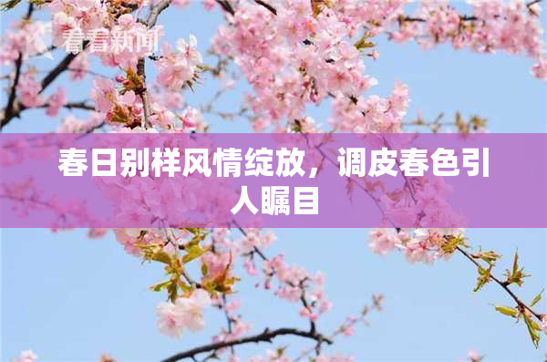 春日别样风情绽放，调皮春色引人瞩目