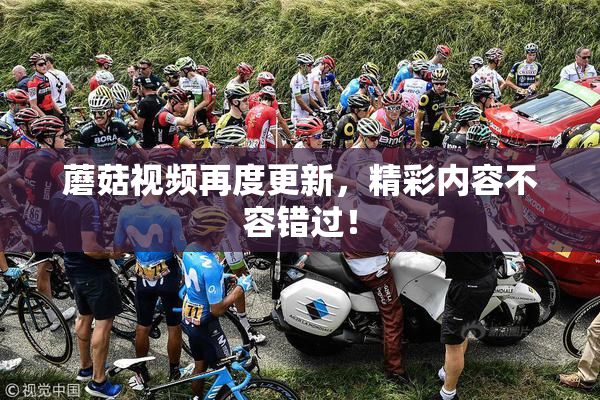 蘑菇视频再度更新，精彩内容不容错过！