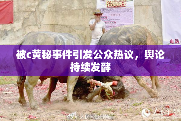 被c黄秘事件引发公众热议，舆论持续发酵