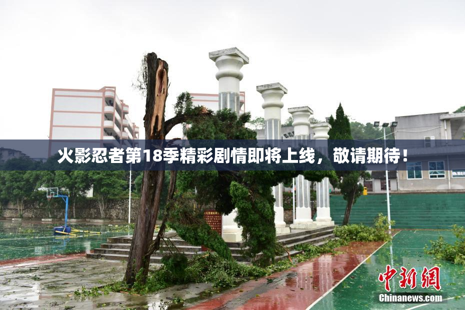 火影忍者第18季精彩剧情即将上线，敬请期待！