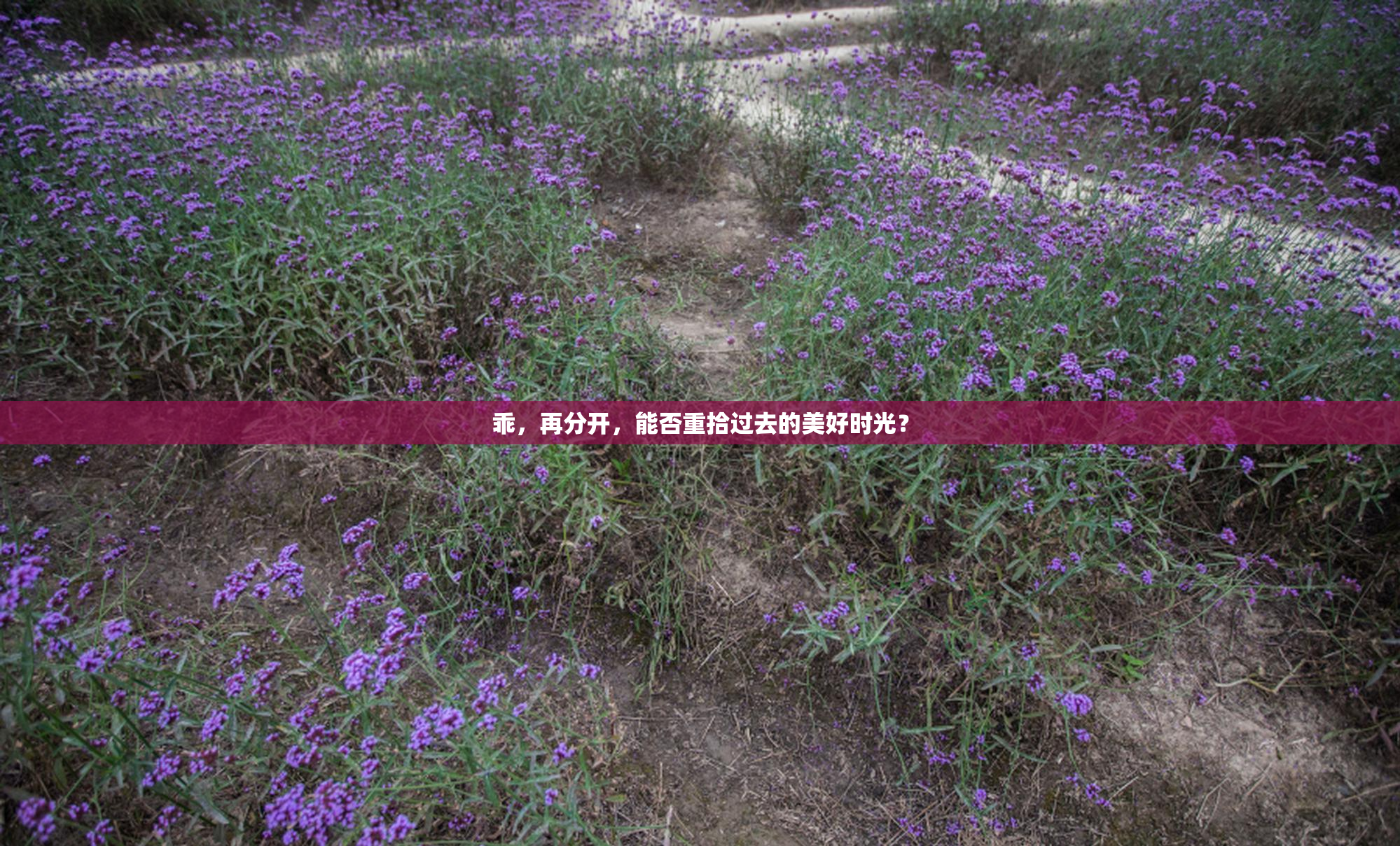 乖，再分开，能否重拾过去的美好时光？
