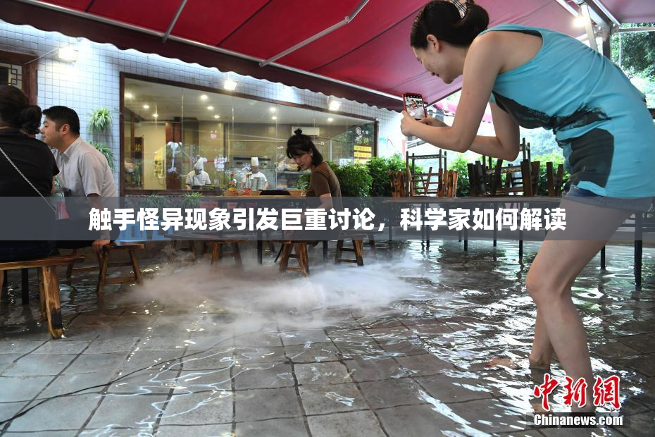 触手怪异现象引发巨重讨论，科学家如何解读